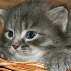 Лилия Галявеева, 13.01, Набережные Челны