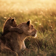 Ничка Боронина, 16.08.1982, Москва