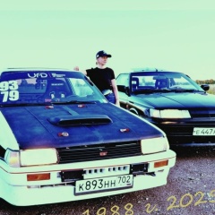 Елена Вологжина, Языково