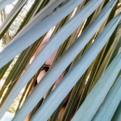 Екатерина Медюлянова, 22.07.1987, Санкт-Петербург