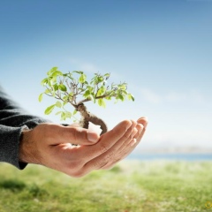 Марат Улыкпанов, 20.09, Алматы