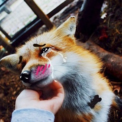 Соня Лис, 16.05.2001, Andorra la Vella