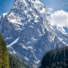 Ислам Басаев, 02.08, Городище