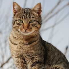 Виктория Прощарук, 13.01, Ровно