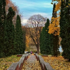 Татьяна Шафранова, 23.07, Курск