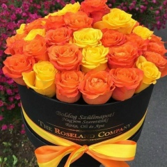 Роза Дасаева-Гуркина, 02.10.1983, Москва