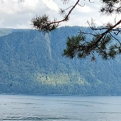 Ирина Сальтевская