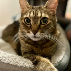 Татьяна Верховенко, 08.11, Белгород