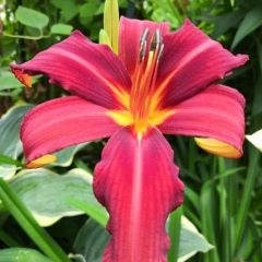 Екатерина Ляпина, Москва