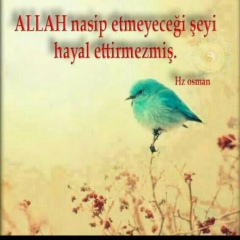 Айман Джумадуллакызы, Constantine