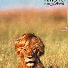 Ислам Нагаев, 10.08.1988, Грозный