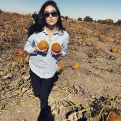 Светлана Сивцова, Chicago