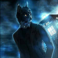 Владимир Семиков, 05.02, Владикавказ