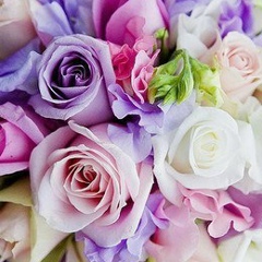 Олександра Жилавюк, 29.03, Киев