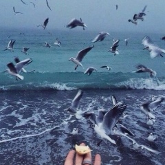 Заид Шманов, 03.02.1996, Аральск