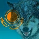 Дидар Жылысбай, Тараз