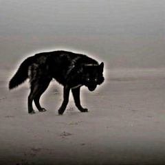 Ay@n4ik Omarov, 05.09.1990, Алматы