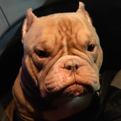 Наталья Волкова, 17.01, Санкт-Петербург