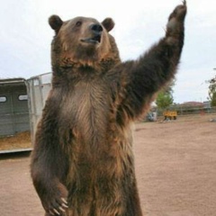 Max Ghezzi, 28.03.1973, Milano