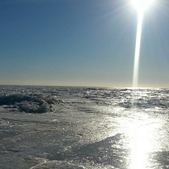 Евгений Александрович