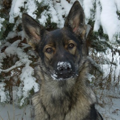 Яна Студёнова, 28.02, Нижнекамск