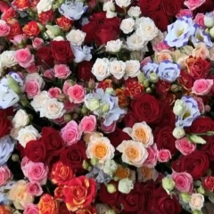 Афрах Барковская, 22.08, Кемерово