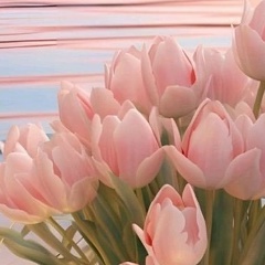 Ульяна Андреева, 20.05, Киров