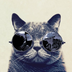 Руслан Козлов, 26.08, Киев