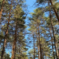 Женя Лисовский, 17.06, Самара