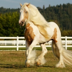 Нуржан Сахипов, 13.07.1966, Атырау