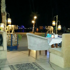 Sabry Noaman, 02.04, Giza