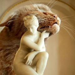 Мария Меньшикова, Санкт-Петербург