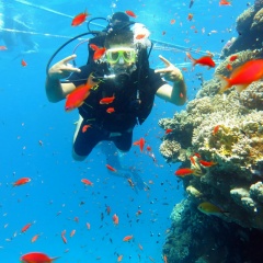 Тельман Акопян, 23.10.1990, Люберцы