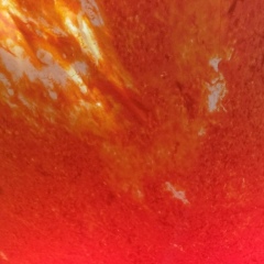 Ержан Мусин, Алматы