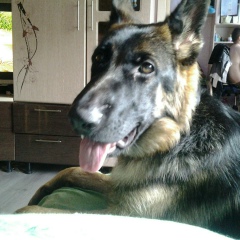 Алексей Манаенков, 18.07.1974, Лосино-Петровский