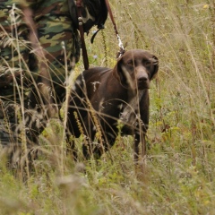Алексей Юрьев, 04.05, Моршанск
