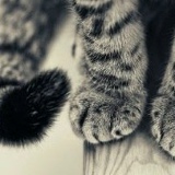 Алена Че, 01.01