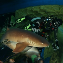 Сергей Наумов, 14.11.1985, Санкт-Петербург