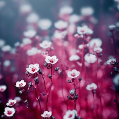 Elnara Akhmedova, 22.09, Баку