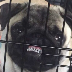 Артём Тарасов, 04.06, Одесса