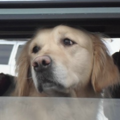 Ксения Николаевна, Санкт-Петербург