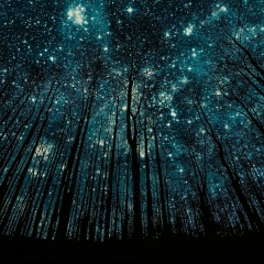 Андрей Жданов, 21.11, Томск