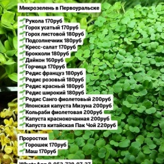 Наталья Сысоева, 16.10, Первоуральск