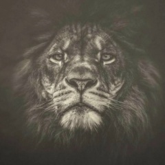 Юнус Акрамов, 30.06.1981, Москва