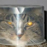 Vasla Rapchak, 31.05