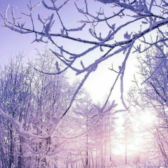 Hwarang Hwarang, 01.01.1990, Alor Setar