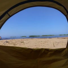 Игорь Шара, Санкт-Петербург