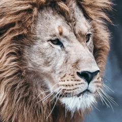 Мухаммад Азимов, 28.04, Сургут