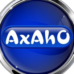 Виталий Бадюк, Воронеж