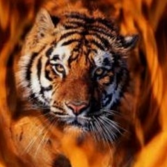 Максим Цыплёнков, 16.09.1986, Москва